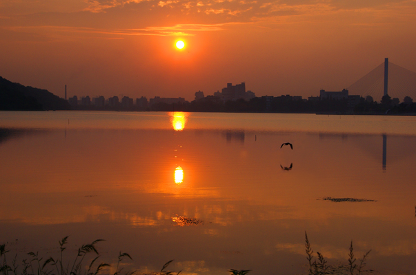 夕阳无限好 摄影 gaoli