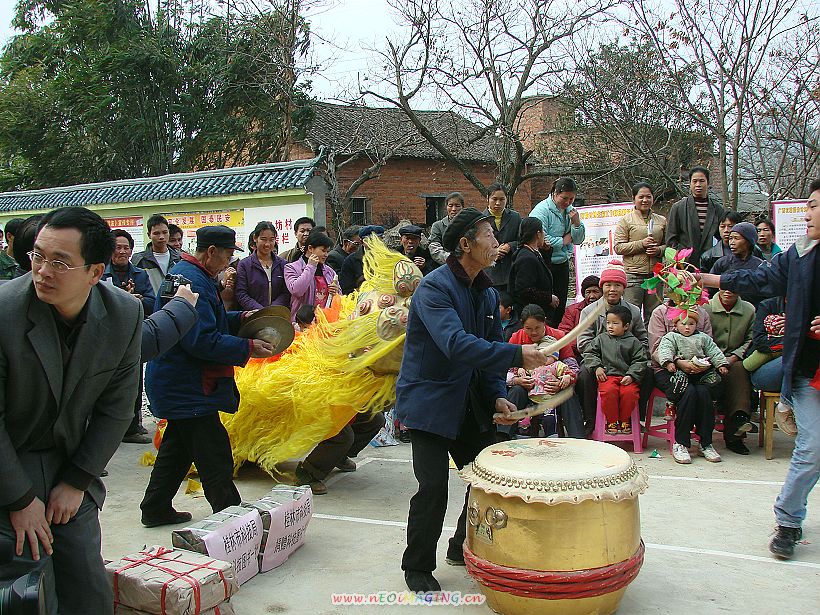 山村乐 摄影 紫色牡丹