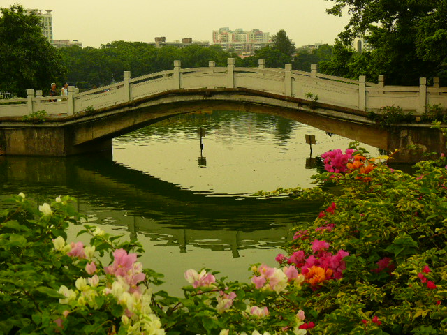 花桥 摄影 谢影妙