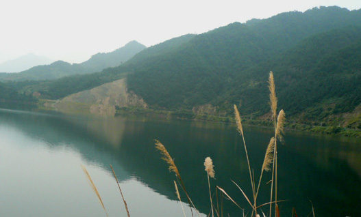 风景这边独好 摄影 海韵江风