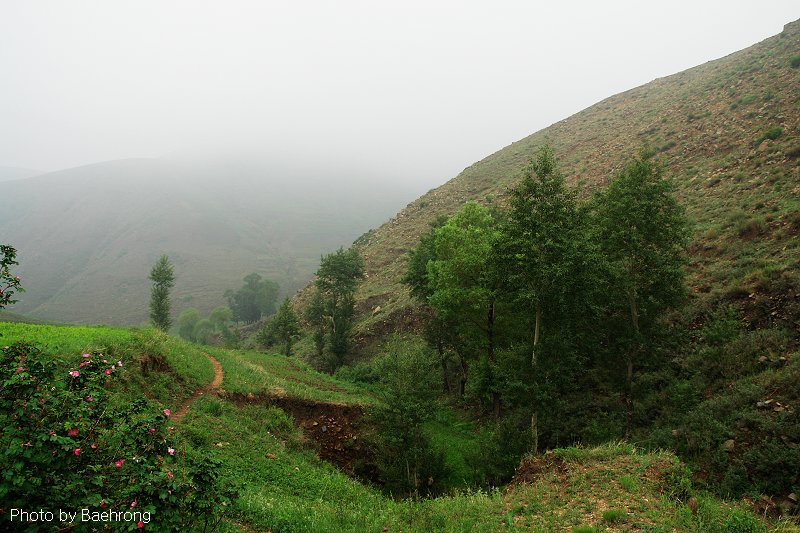 风景 9 摄影 baehrong