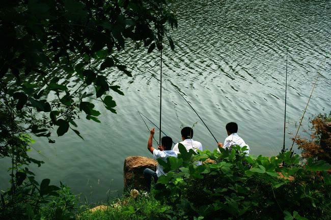 垂钓图 摄影 艺圃花匠