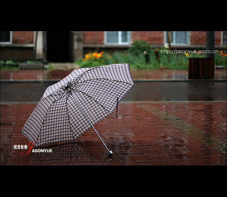 〈心情 淡然如雨〉 摄影 小饺子