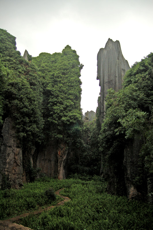 石林风光——小路 摄影 别日山