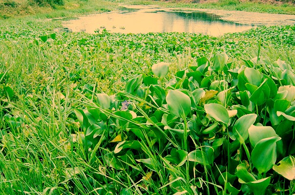 无期 摄影 夏茉涼