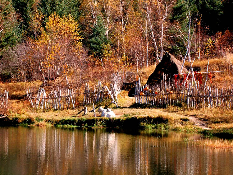 坝上小景 摄影 金鹏