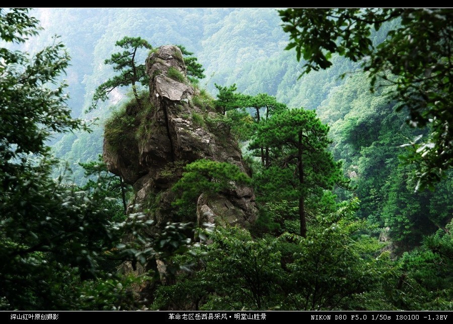 革命老区安徽省岳西县采风·明堂山胜景系列（2） 摄影 -深山红叶-