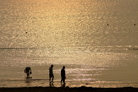 海边的早晨 摄影 怡年