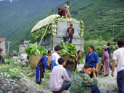 丰收 摄影 旅游爱好者