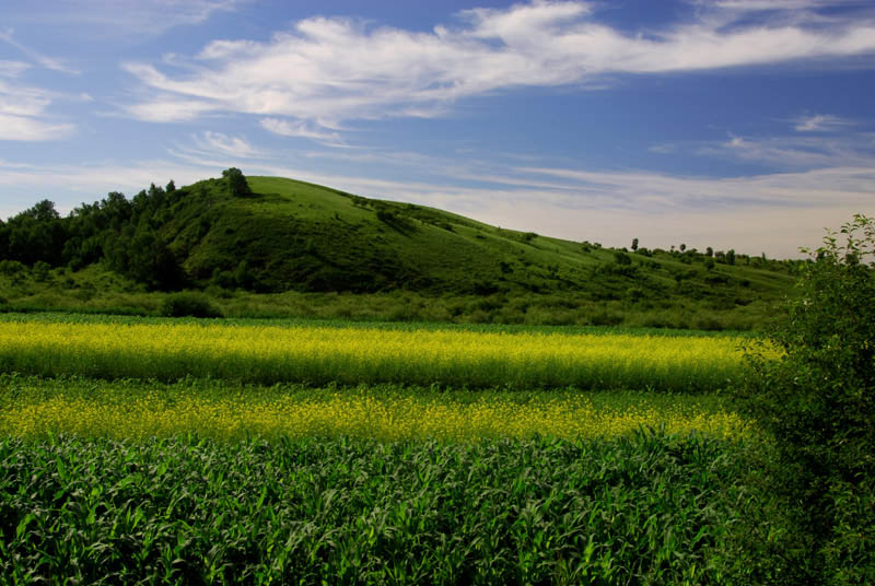 夏日坝上 摄影 子杰