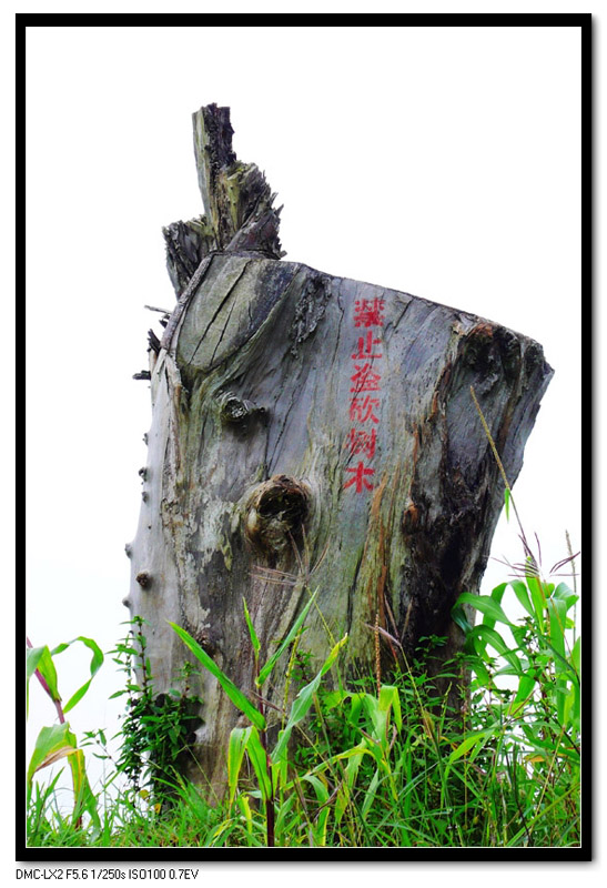 无声的呐喊 摄影 风光好