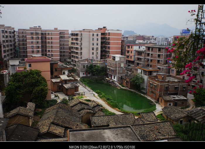 翡翠 摄影 小雨阳光