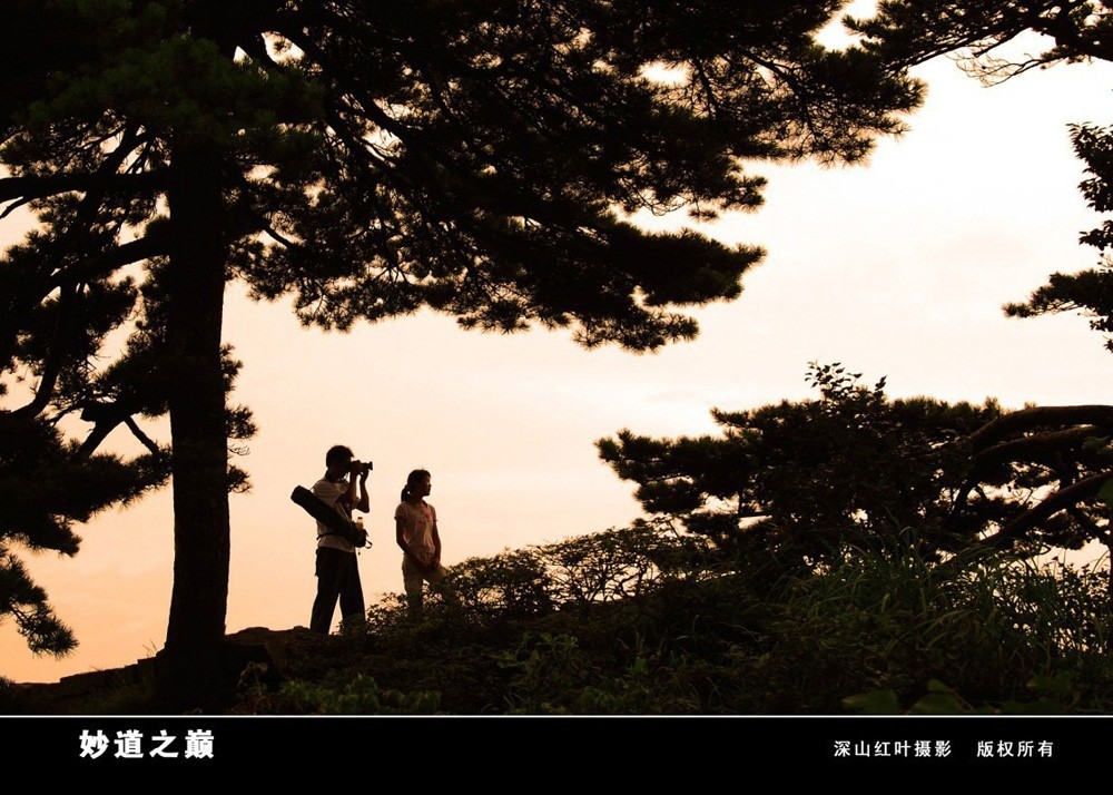 革命老区安徽省岳西县采风·妙道山揽胜系列（1） 摄影 -深山红叶-