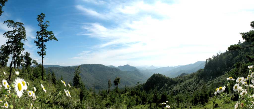 蛟河平顶山风光、 摄影 清水之间