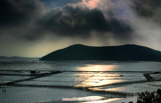 风雨之后 摄影 无锡阿德