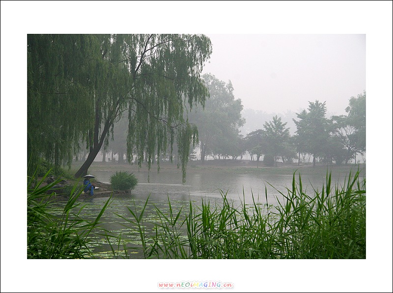 《在雨中》 摄影 小巍