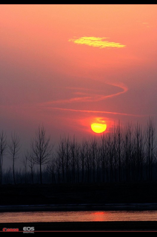 夕阳晚唱 摄影 寒柳