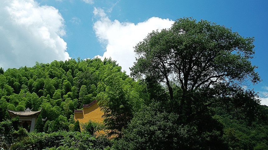 大山深处的佛 摄影 港城晨曦