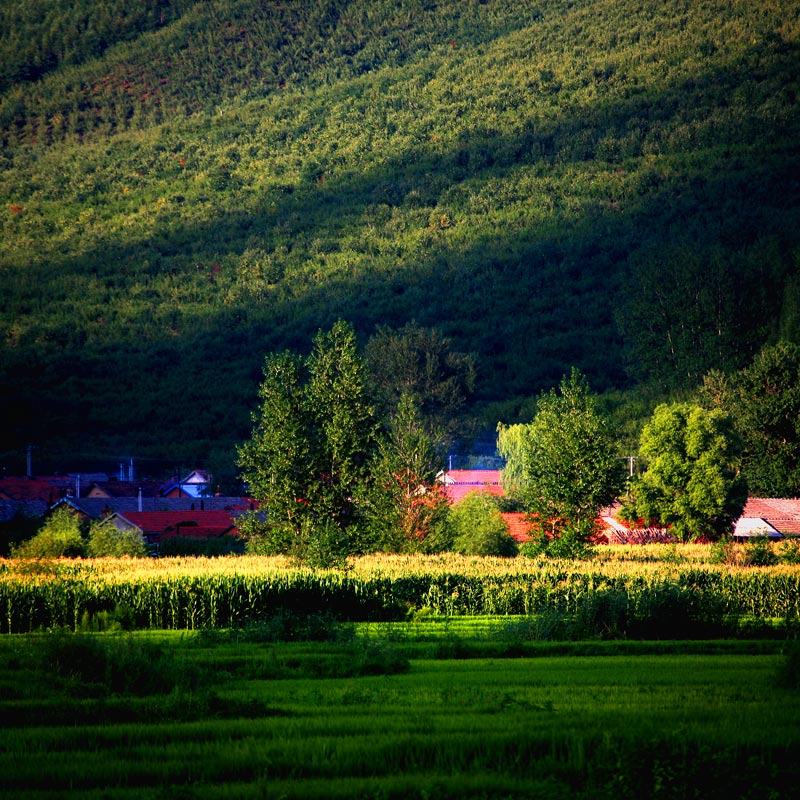 夏季长白山 摄影 好色镜头