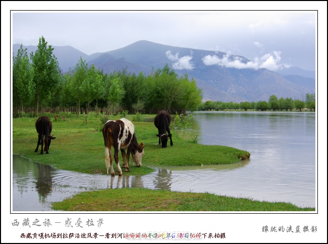 西藏雅鲁藏布江边景色 摄影 朦胧的淡蓝