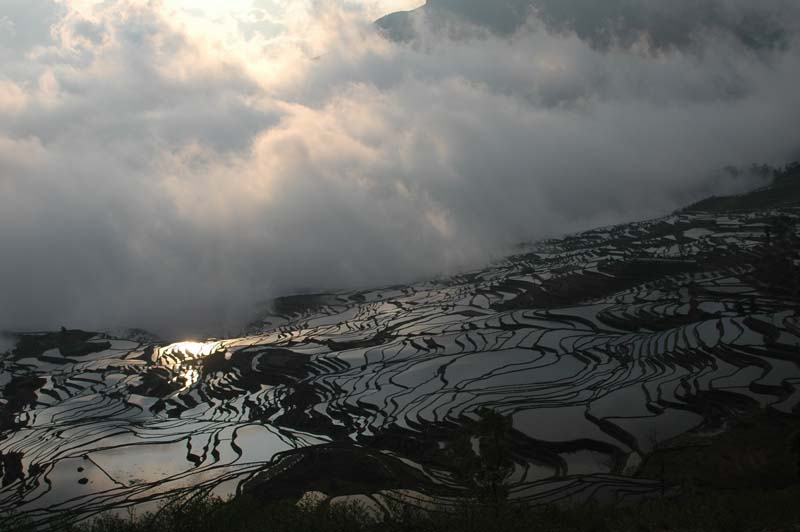 元阳梯田之四 摄影 青山夕照