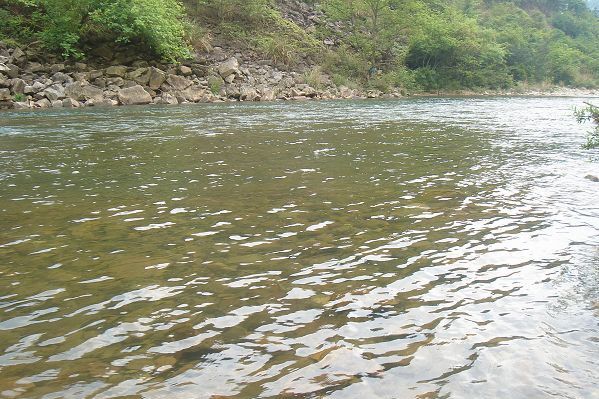 山下 摄影 再见千岁