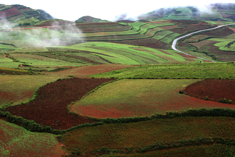 东川红土地 摄影 陆奇