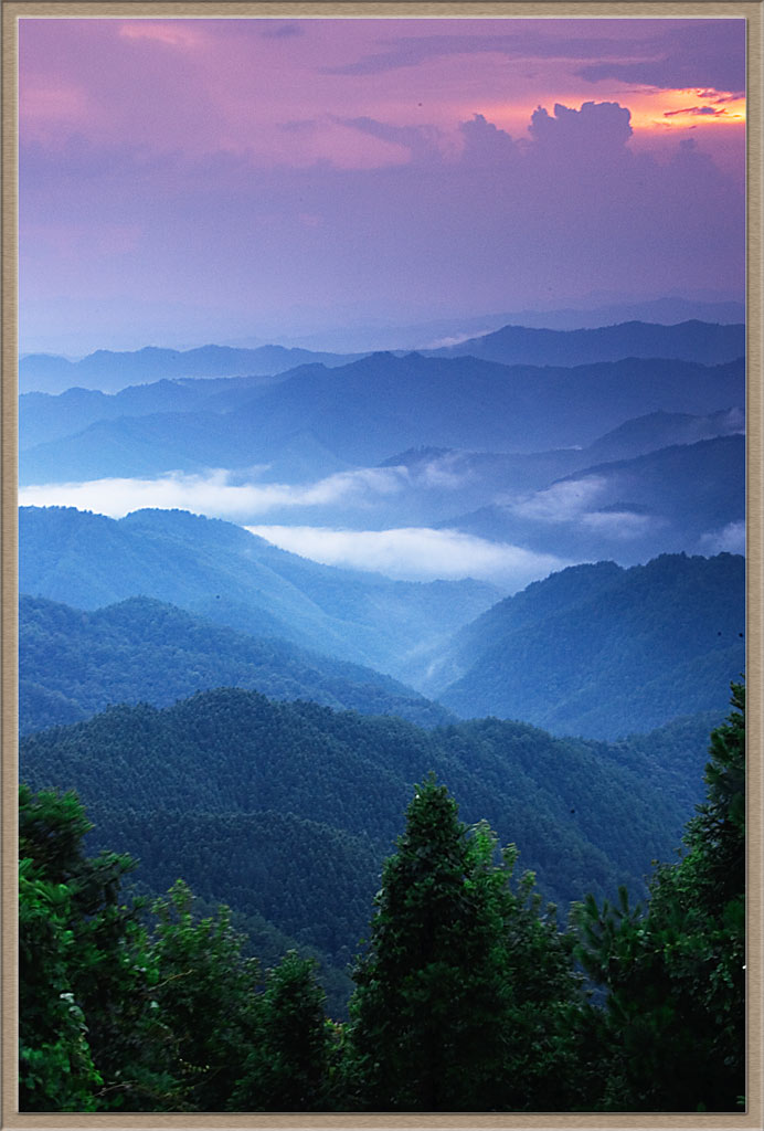 绥宁林海-2 摄影 一剑鸣