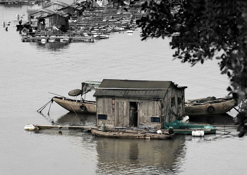 霞浦风情：水上人家 摄影 一线蓝光