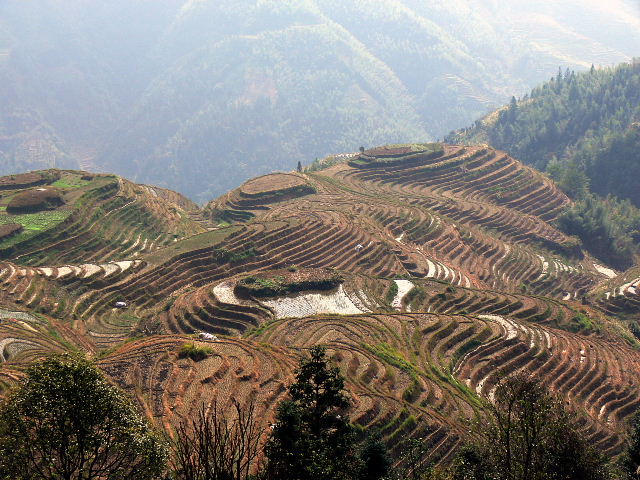 龙胜梯田 摄影 厚地天高