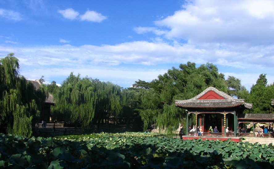 夏日颐和园 摄影 天天天