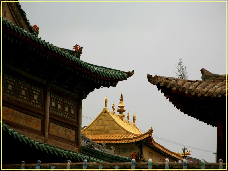 塔尔寺金顶 摄影 王微