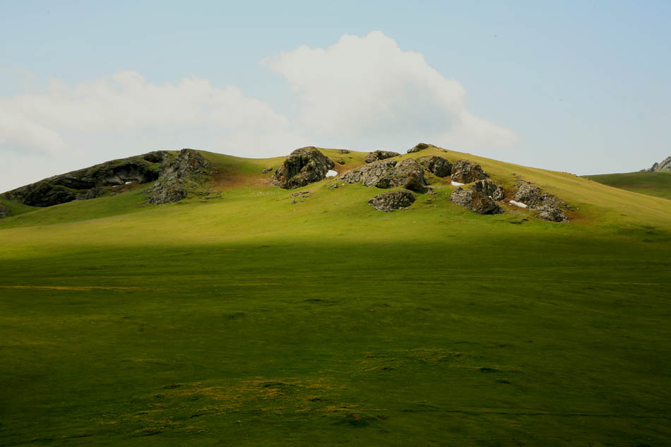 青青的山岗 摄影 山野