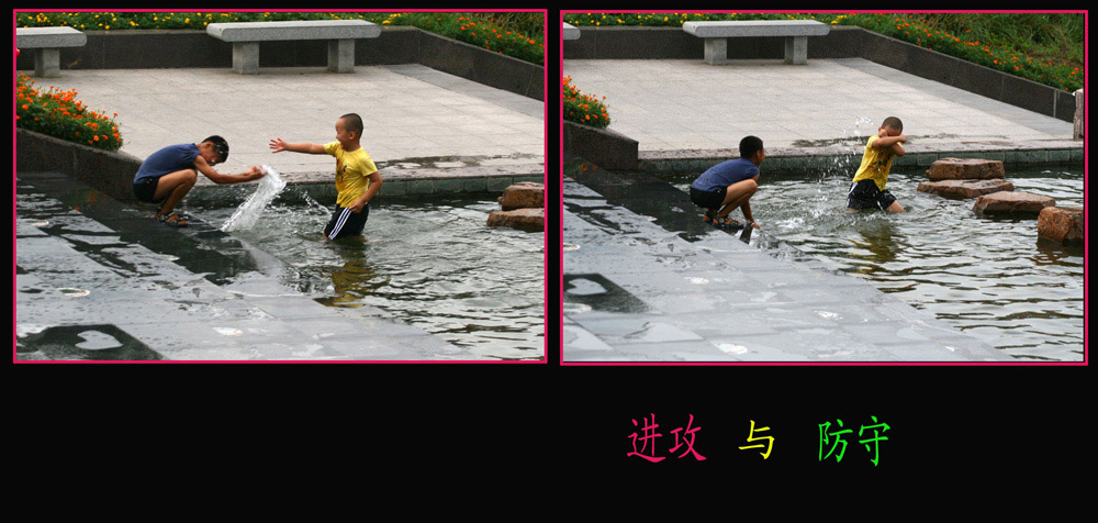 进攻与防守 摄影 雨山中人