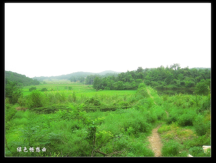 田园风光 摄影 五百次回眸