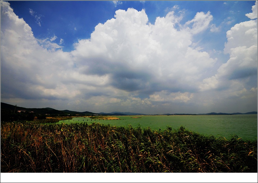 湿地——无锡景(69) 摄影 阿乐