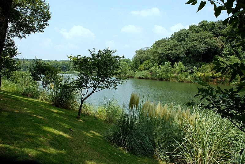 茅乡水情4 摄影 彼岸的风景