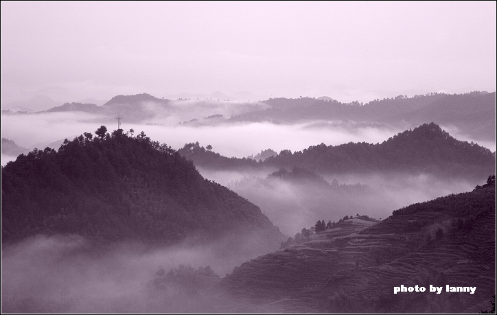 长垓晨景 摄影 甜宁