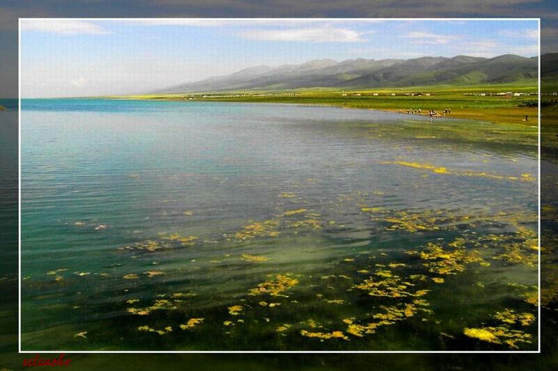 青湖湖畔 摄影 溪流