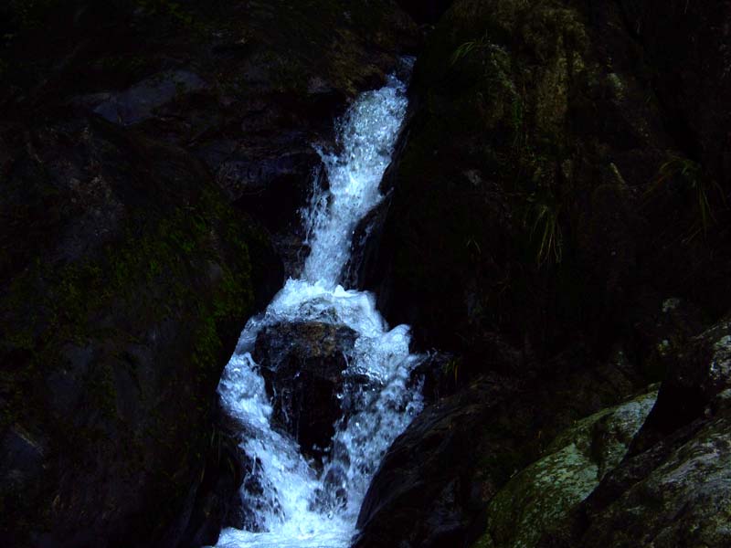 峡谷小溪 摄影 清水流深