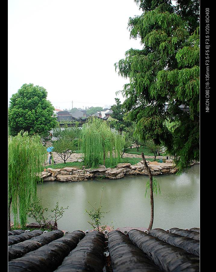 江南秋雨 摄影 渝影