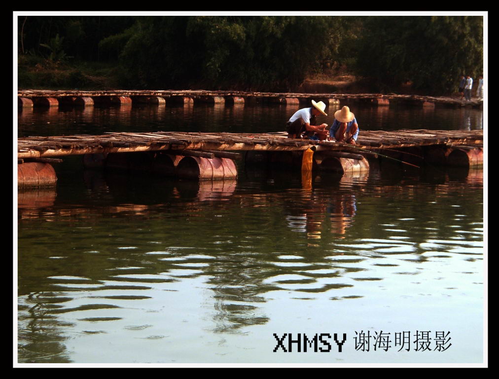 垂钓 摄影 明海谢