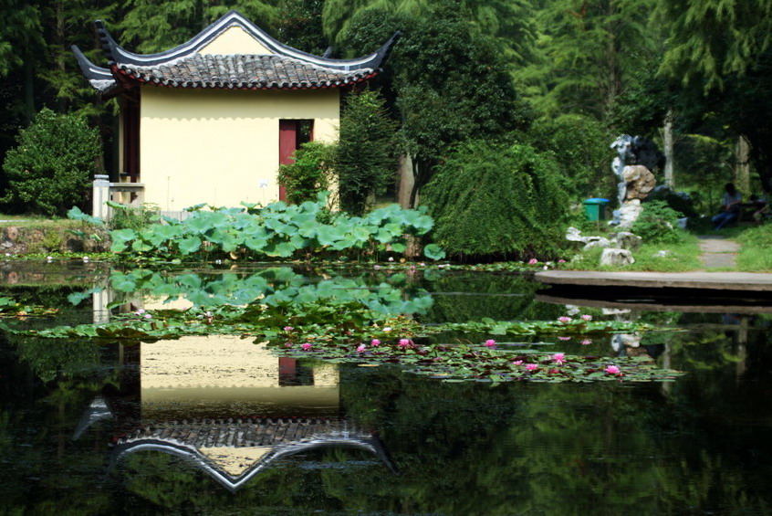 植物园风景 摄影 楚园秋韵