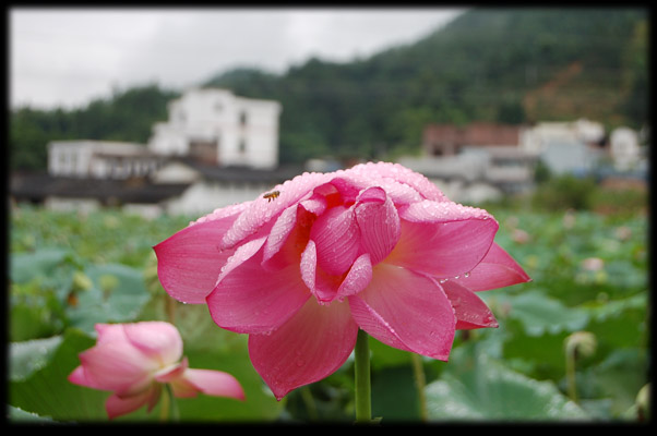 雨后 摄影 日光绘画