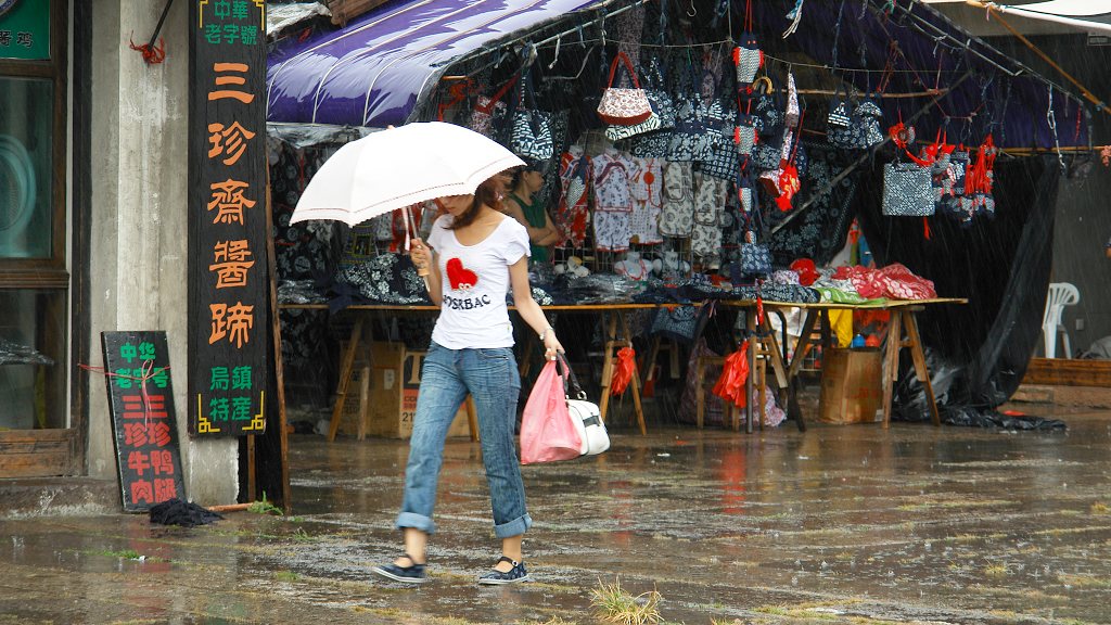 雨中即景 摄影 tianya