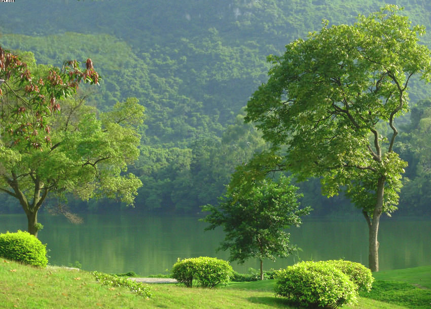 小景 摄影 曾弓