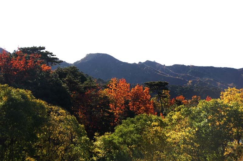 山景如画 摄影 东春