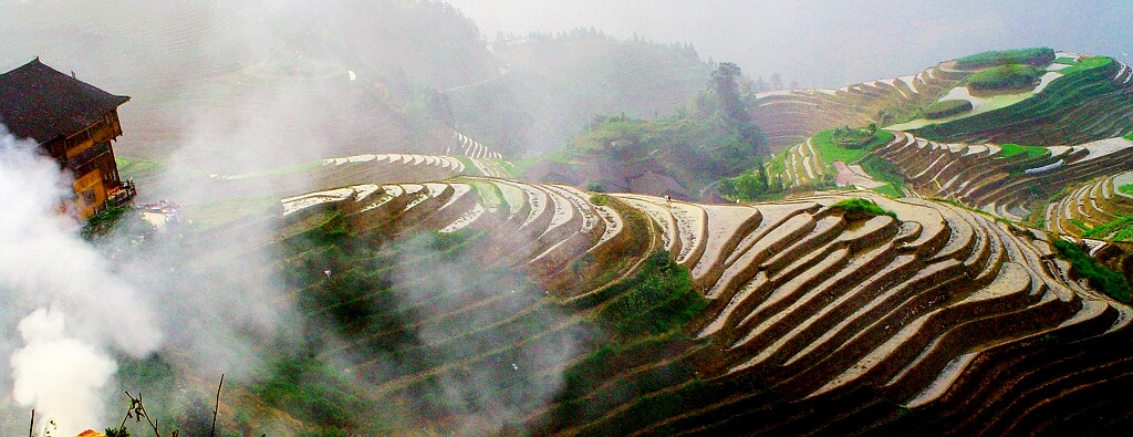 龙胜梯田 摄影 shenjizhang