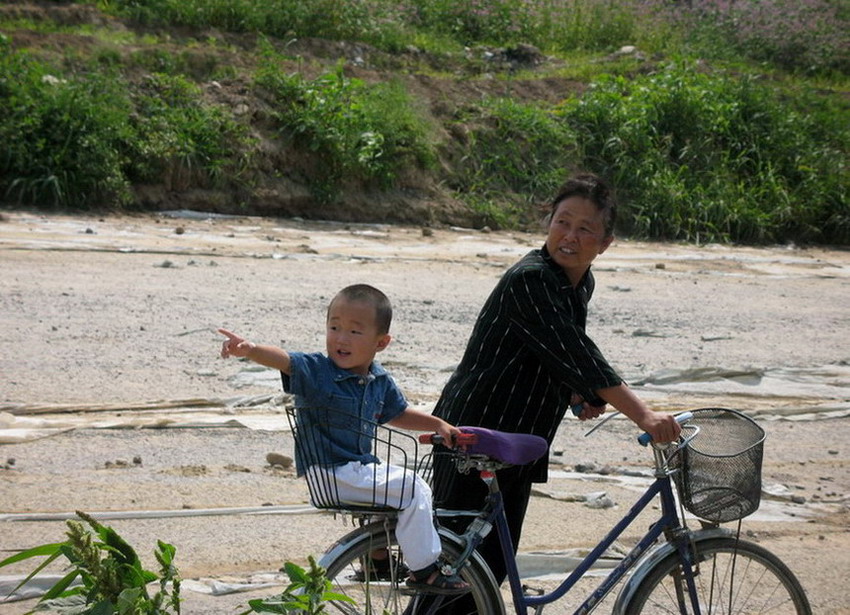 他们看见了啥? 摄影 草籽