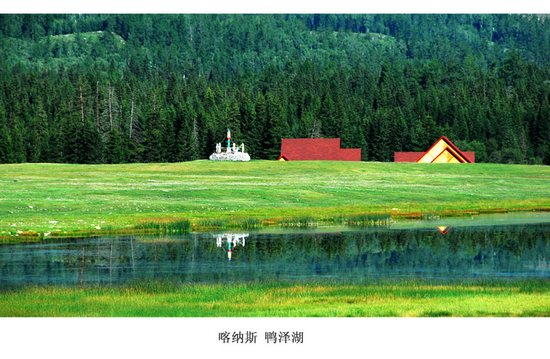 喀纳斯 鸭泽湖 摄影 林间小路